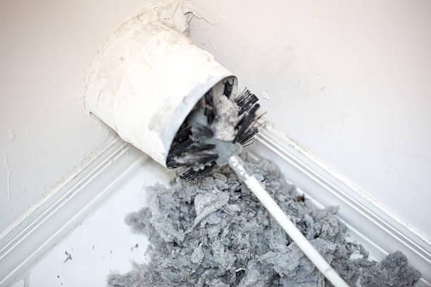 Best Home Air Vent Cleaning  in Port Labelle, FL